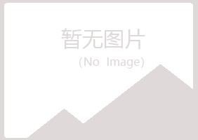 坡头区惜雪音乐有限公司